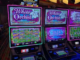 Pengguna meninjau syarat promo digital